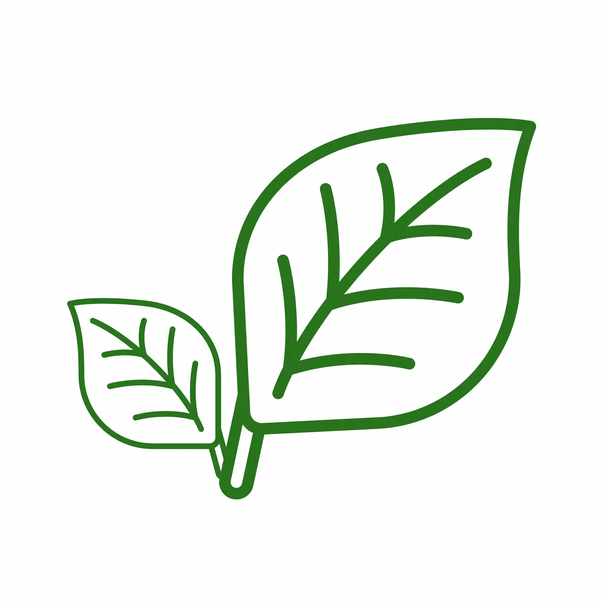 flyweb leaf icon
